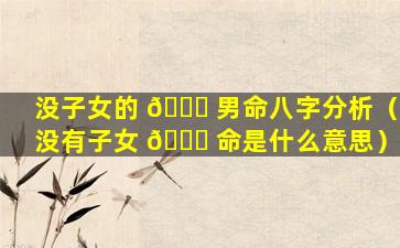 没子女的 💐 男命八字分析（没有子女 🐎 命是什么意思）